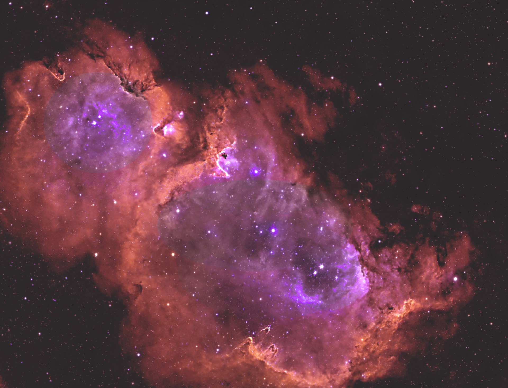 IC1848 Lunette ED80 + flattener II. 9h de pose en Ha-RVB. Du 1 au 5 juil 2019. 