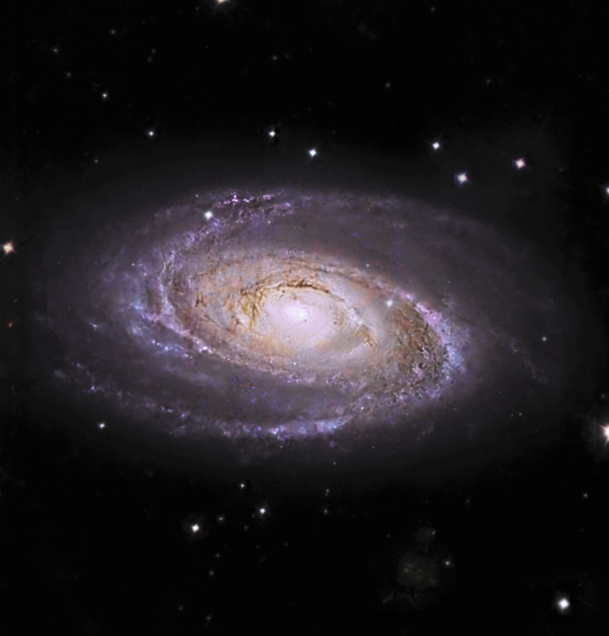 M81 RC250 st8300m 3h30 de pose. Mars2020.